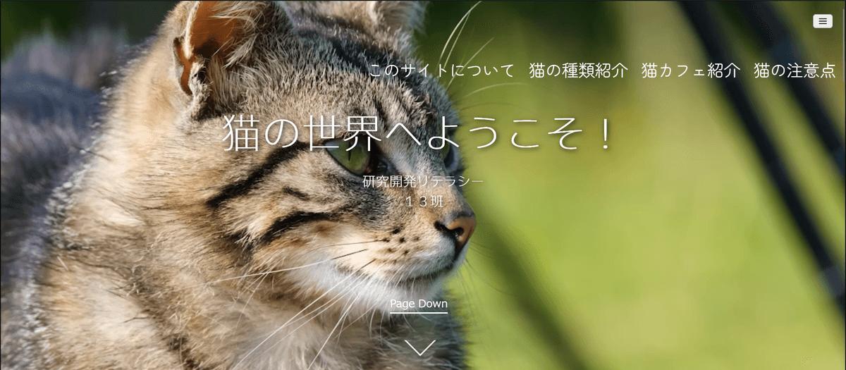 cat Image